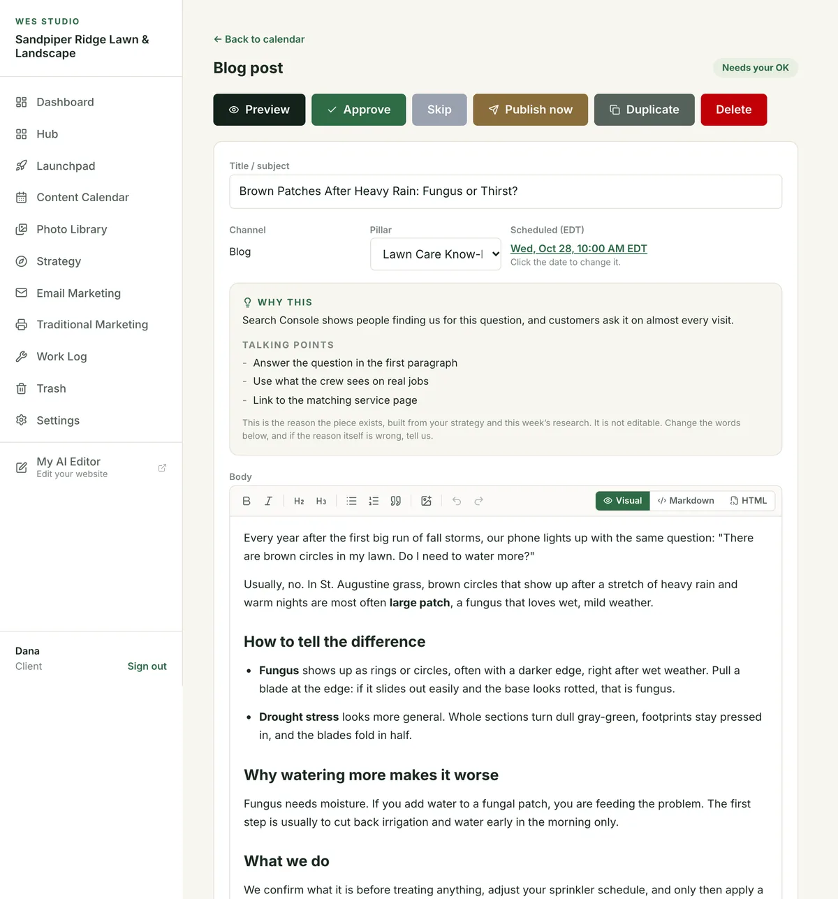 A blog post waiting for approval, showing why it was written, its talking points and the full article